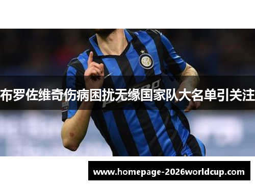 布罗佐维奇伤病困扰无缘国家队大名单引关注 布罗佐维奇伤病困扰无缘国家队大名单引关注